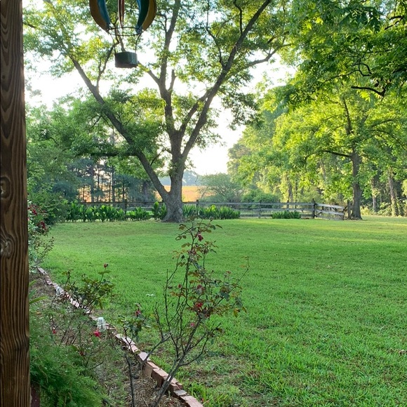 Meet your Posher, Matthew - Picture 1 of 1